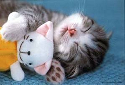 Doudou